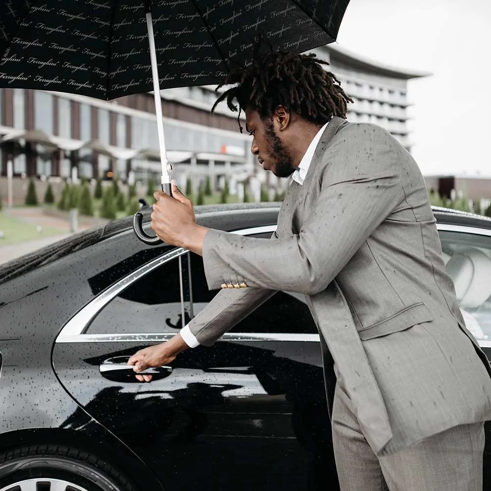 7919298250d0cdcf32809c40cac35abe_1200_80 Luxury Transportation in Copenhagen for 2025 – What’s New?